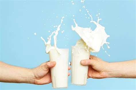 groothandel zuivel melk|Groothandel Zuivelproducten: boter, melk & room.